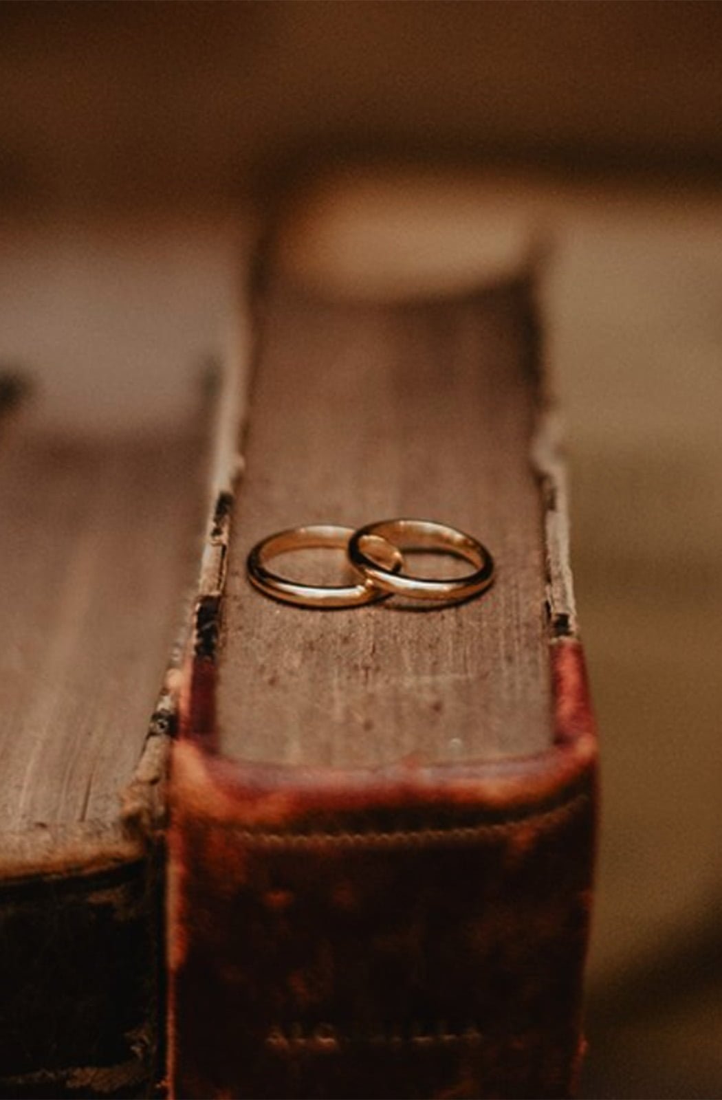 fotos de anillos de boda