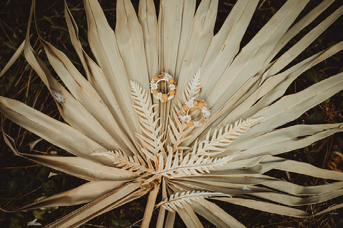 Fotógrafo de bodas profesional en Euskadi